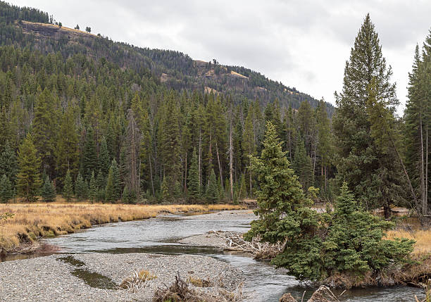 istock Soda Butte Creek 495734298