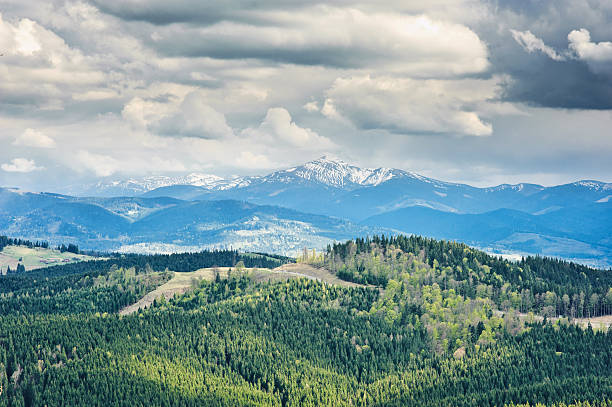 istock Beautiful view on mountains and meadows covered with forest 495735493