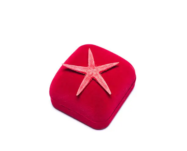 Photo of starfish on the red box