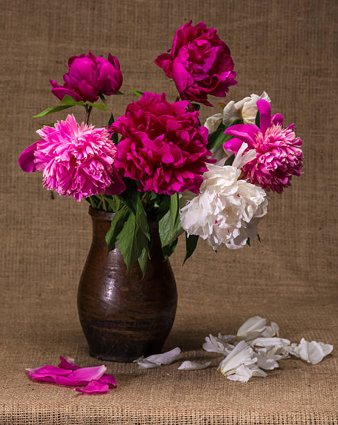 istock Still life with peonies in vase 495735973