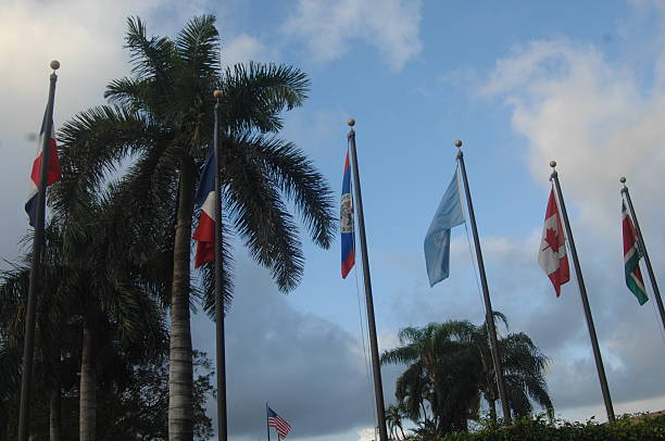 istock Flags From Around the World-Miami 495736043