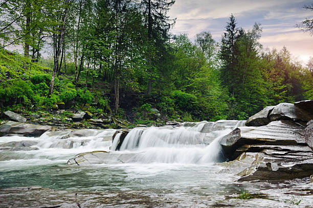 istock rough mountain river with white foam flows among the rocks 495736287