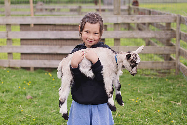 istock girl with goat 495736656
