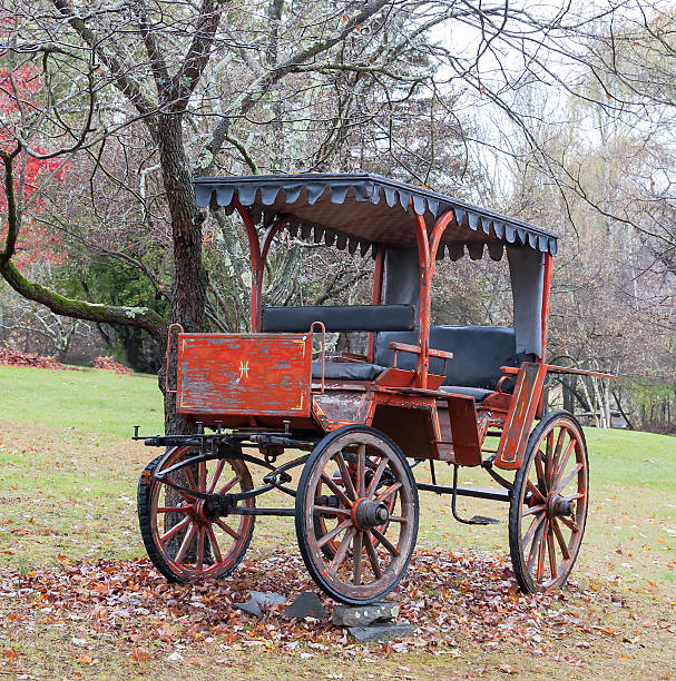 istock Antique Horse Drawn Buggy 495737387