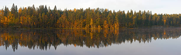 istock coast of the wood lake 495738541