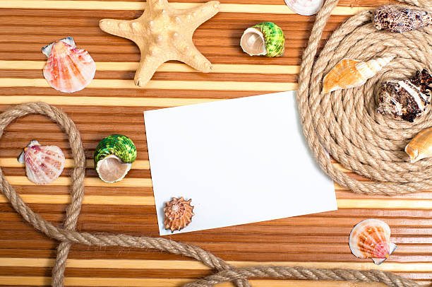 istock Sandy beach with wooden planks and blank 495739259