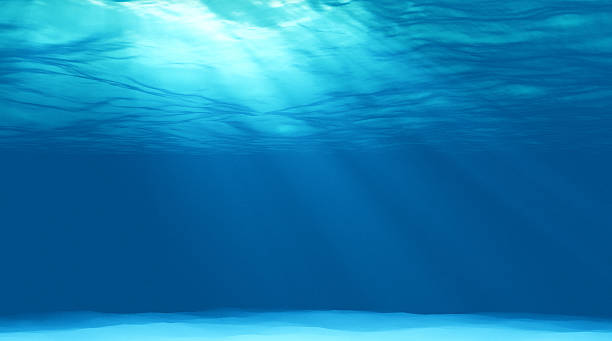 istock beautiful scene light underwater in Caribbean lagoon 495739538