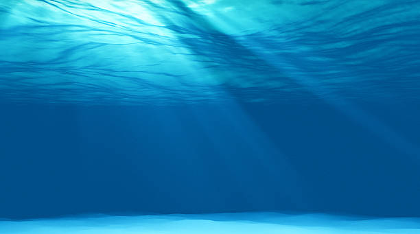 istock beautiful scene light underwater in Caribbean lagoon 495739644