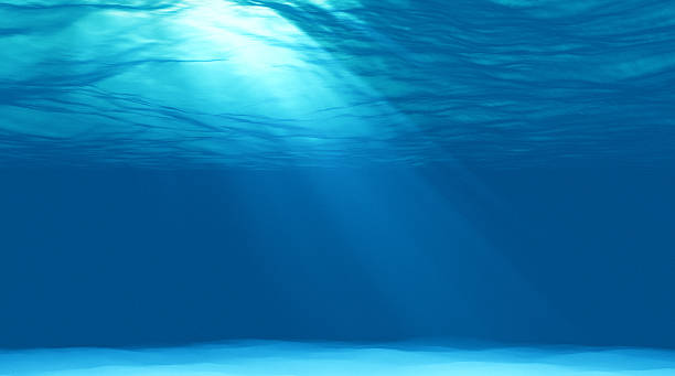 istock beautiful scene light underwater in Caribbean lagoon 495739748