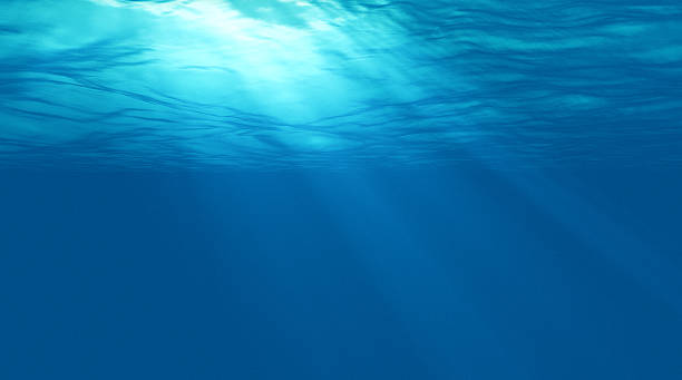 istock beautiful scene light underwater in Caribbean lagoon 495739852