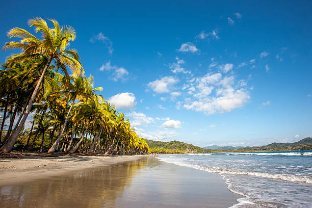 spiaggia da sogno nicoya costa rica - penisola di nicoya foto e immagini stock