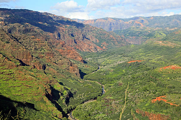 istock Landscape in Waimea Canyon 495746907