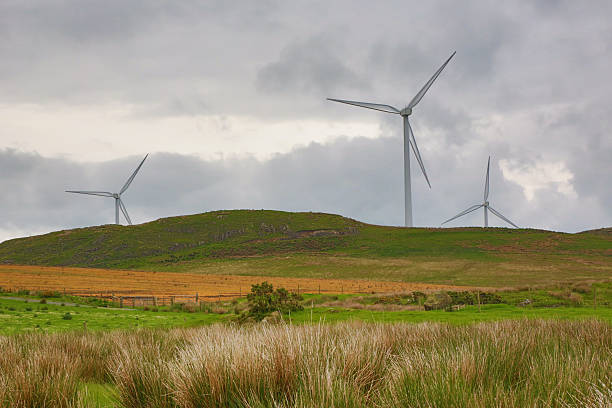 istock Wind turbine farm - electricity generation from wind power. 495747513