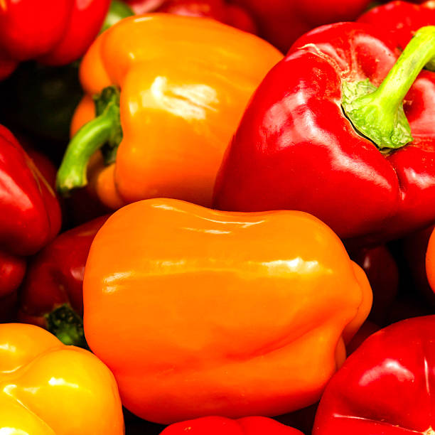 istock Red paprika background.  capsicum top close up 495747999