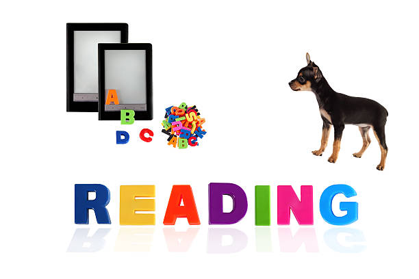 Toy-terrier puppy with electronic book on white background.
