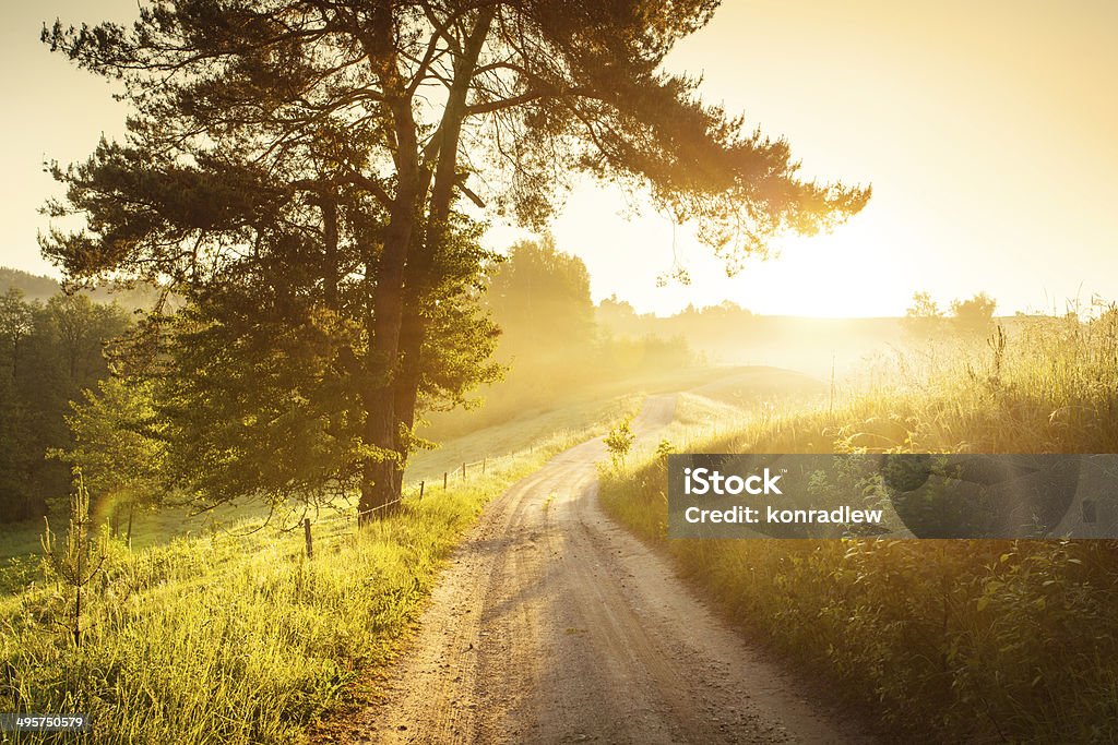 Country Road through the Foggy Landscape - Colorful Sunrise Country Road through the Foggy Landscape - Sunrise  Single Lane Road Stock Photo