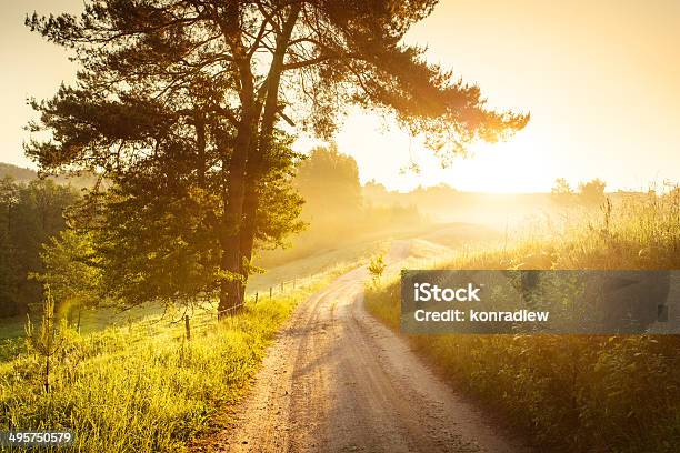 Country Road Through The Foggy Landscape Colorful Sunrise Stock Photo - Download Image Now