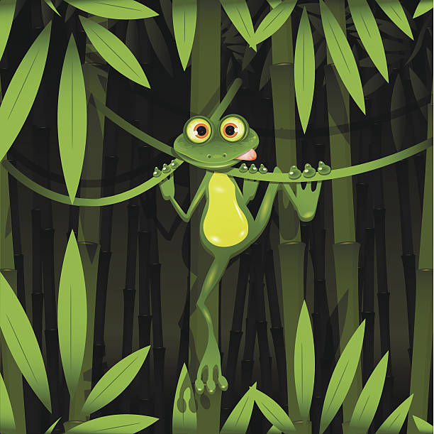 ilustrações, clipart, desenhos animados e ícones de sapo em uma floresta - frog sideways glance humor desire