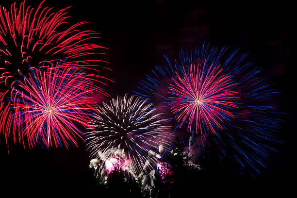 istock Fourth of July Fireworks 495751503