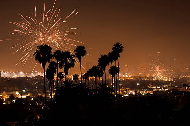 downtown los angeles 파이어워크 - los angeles county city of los angeles palm tree travel destinations 뉴스 사진 이미지