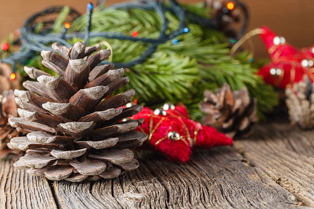 istock Christmas decoration with pine and cones 495751676