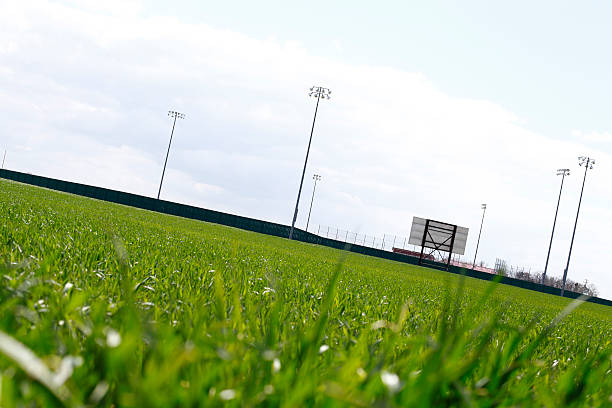 istock baseball field with green pasture 495751713