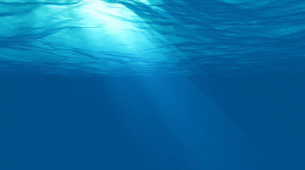istock beautiful scene light underwater in Caribbean lagoon 495753224
