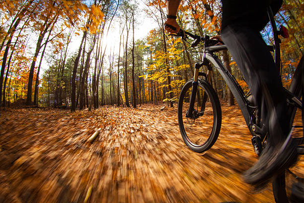 istock Mountain biking along a trail through the woods 495755770