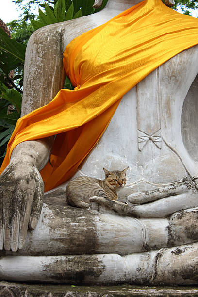 istock Ancient Buddha statues at Wat Yai Chai Mongkol in Ayutthaya 495756601