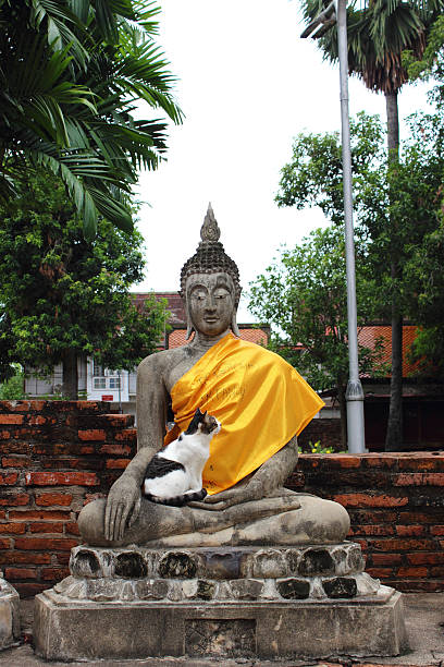 istock Ancient Buddha statues at Wat Yai Chai Mongkol in Ayutthaya 495756605