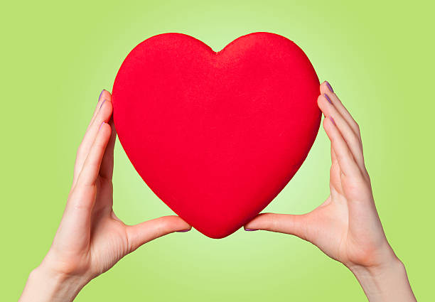 istock Hands holding shape heart on green background. 495757481