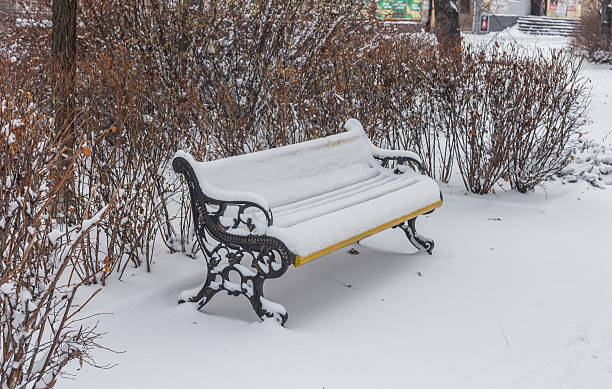 istock Benches in the winter city park 495757798