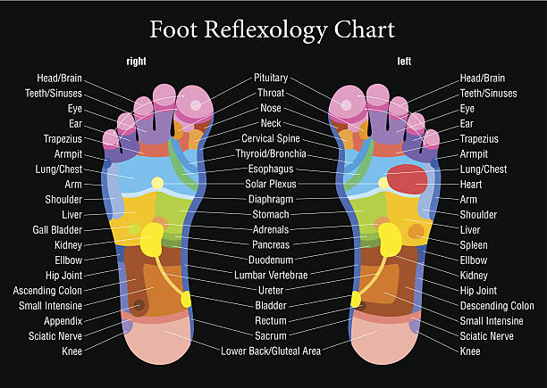 フットリフレクソロジーチャートブラックの説明 - massaging human foot reflexology foot massage点のイラスト素材／クリップアート素材／マンガ素材／アイコン素材