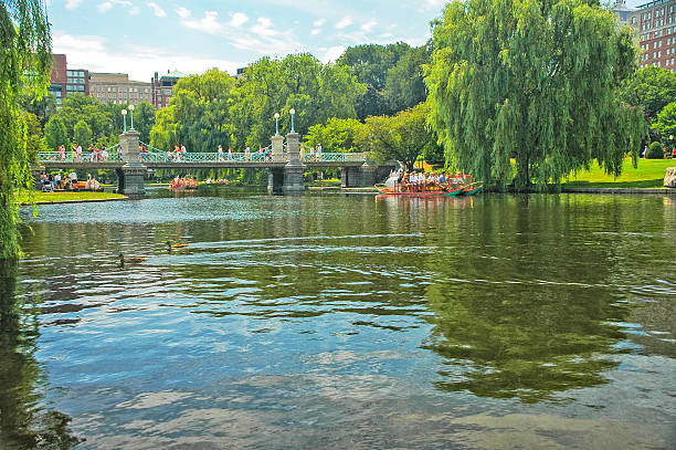 boston duck bateaux au public bassin du jardin avec pont - boston formal garden bridge park photos et images de collection