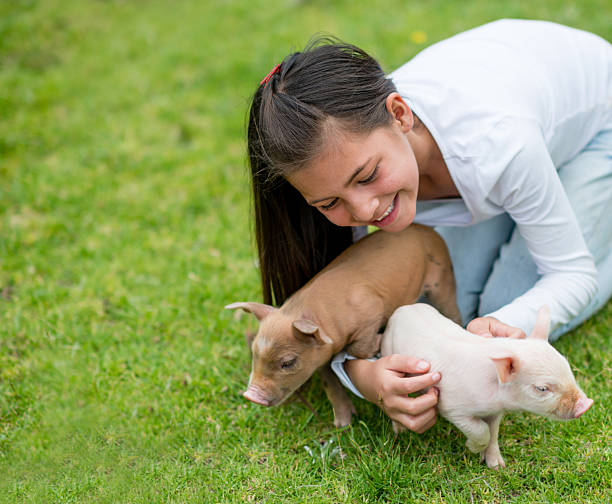 istock Girl playing with pigs 495758821