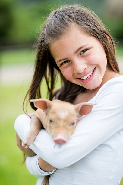 a little girl tends to the piglets in their enclosure.