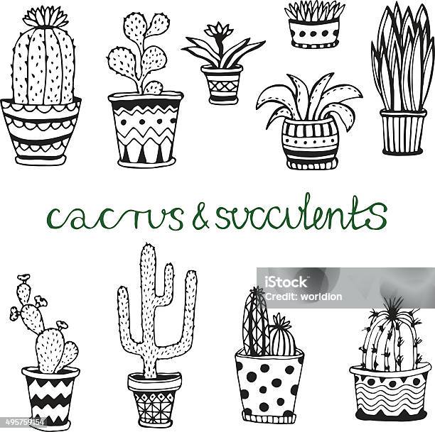 Main Dessiné Ensemble De Succulents Et Cactuse Doodle Fleurs En Pots Vecteurs libres de droits et plus d'images vectorielles de 2015