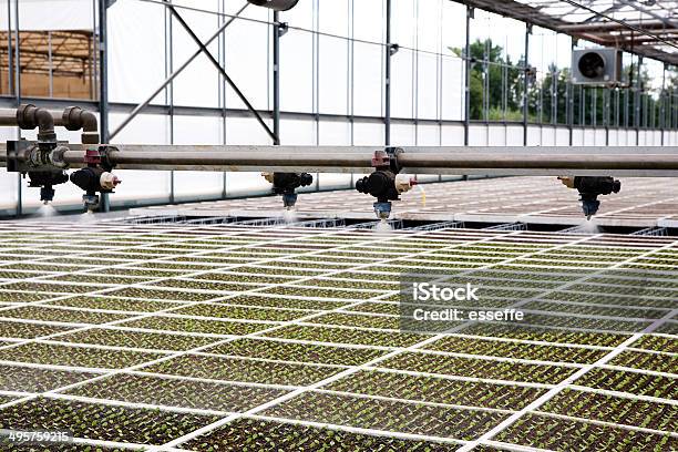 Foto de Estufa Agricultura De e mais fotos de stock de Eficiência - Eficiência, Equipamento de Irrigação, Agricultura