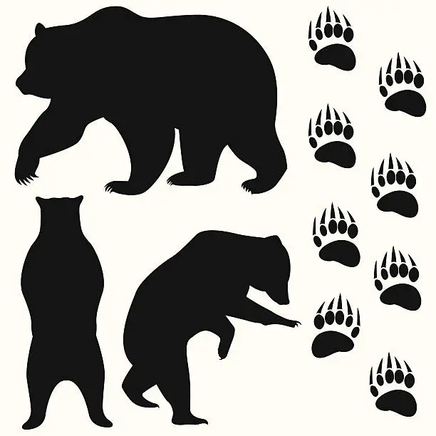 Vector illustration of bear head