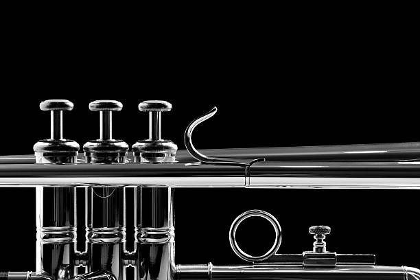 trompete. preto e branco. - trumpet musical instrument wind instrument flugelhorn imagens e fotografias de stock
