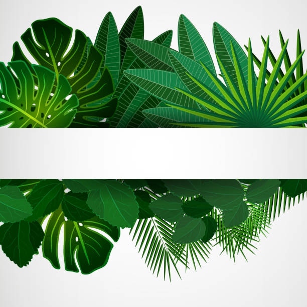 illustrazioni stock, clip art, cartoni animati e icone di tendenza di foglie tropicali. sfondo di disegno floreale. - tropical rainforest tropical climate flower frame