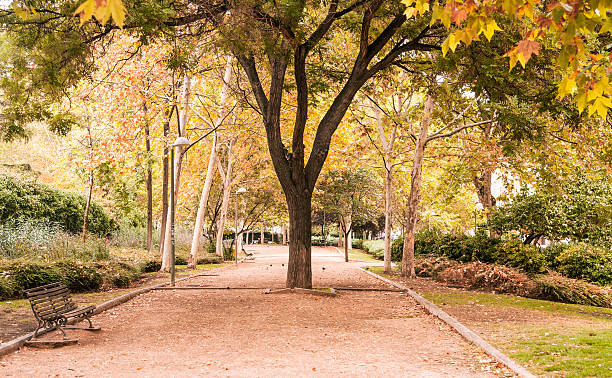 istock Beautiful autumn in Madrid. 495761294