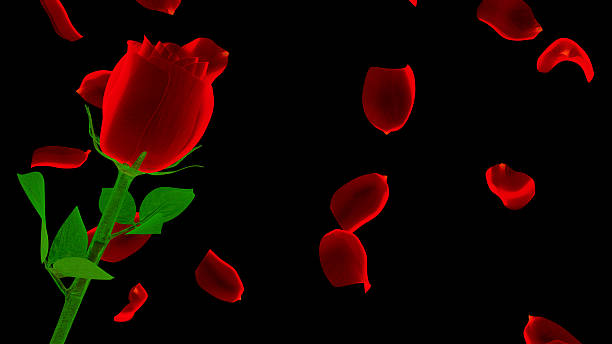 istock red neon rose with petals isolated on black 495761586