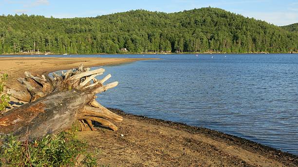 istock Adirondack Mountains, Schroon Lake Shore, Beach, Rocks, NY 495762026