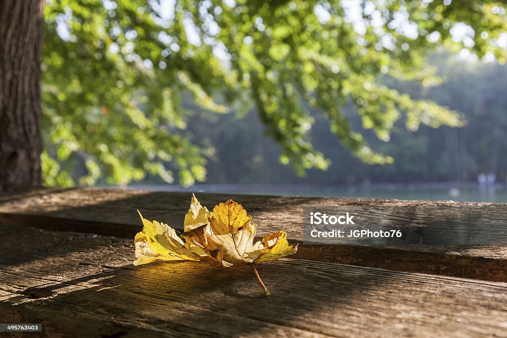 Autumn leaf on a park bench Autumn leaf on a park bench on Stempflesee in Siebentischwald, Augsburg Augsburg Stock Photo