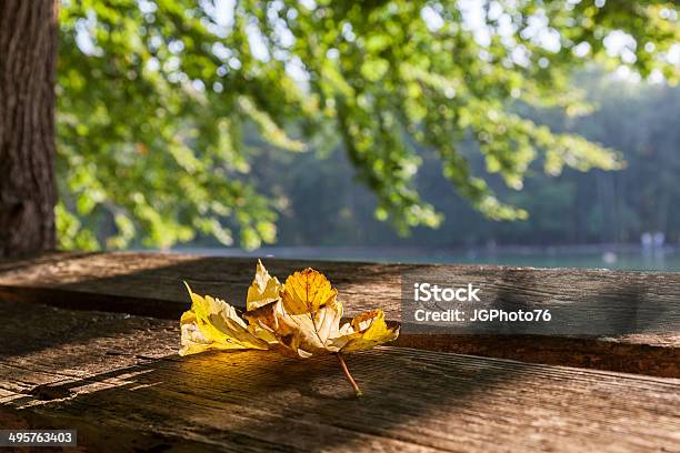 Autumn Leaf On A Park Bench Stock Photo - Download Image Now - Augsburg, Autumn, Bavaria