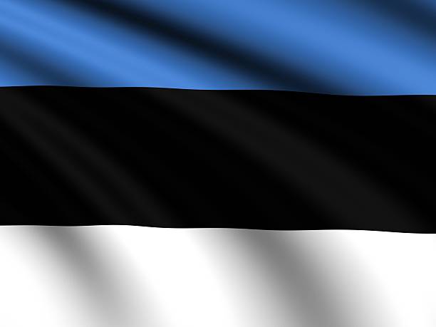 istock Flag of Estonia 495763718