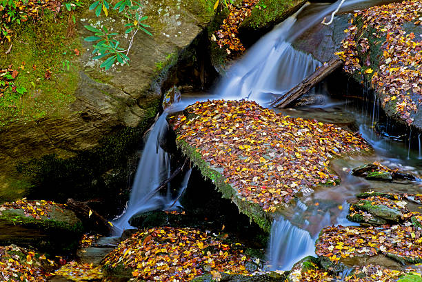 急流フローシルクの自然の岩の周辺で smokies ます。 - natural phenomenon waterfall rock tranquil scene ストックフォトと画像