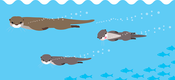 Swim otter family