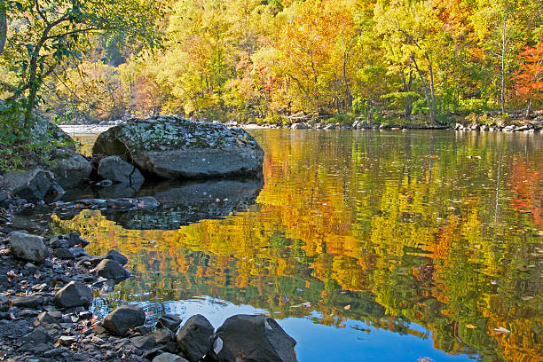 istock River bank covered with water reflections of fall. 495772622